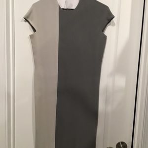 Two toned sheath